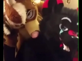 Fursuiters fuck in bathroom while bottom moans loudly